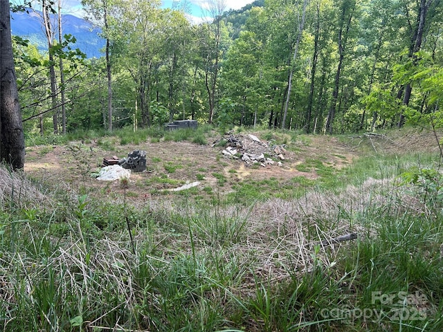 455 Spring Valley Dr Unit 43And 44, Waynesville, NC 28786