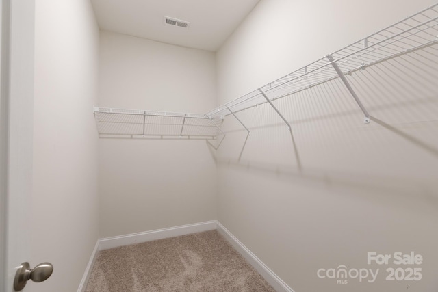 679 Cape Fear St, Fort Mill, SC 29715 - spacious closet featuring carpet