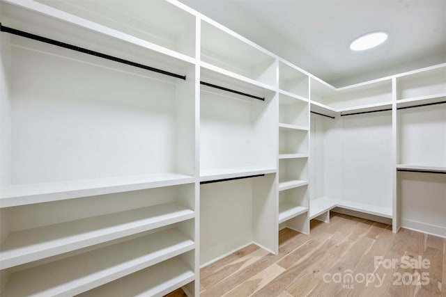 1834 Arnold Dr, Charlotte, NC 28205 - walk in closet featuring light wood-style floors