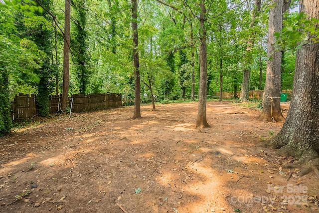 1401 Hillwood Ct, Charlotte, NC 28210 - photo 42
