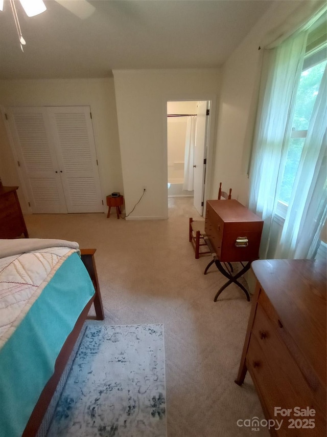 74 Melinda G Ln, Hendersonville, NC 28739 - photo 13