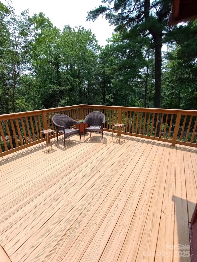 74 Melinda G Ln, Hendersonville, NC 28739 - photo 38