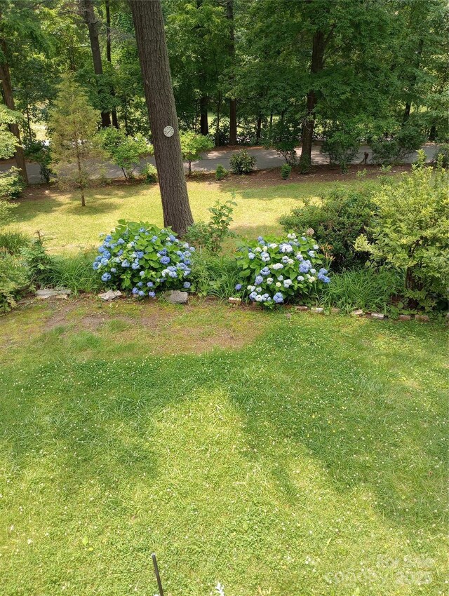 74 Melinda G Ln, Hendersonville, NC 28739 - photo 44