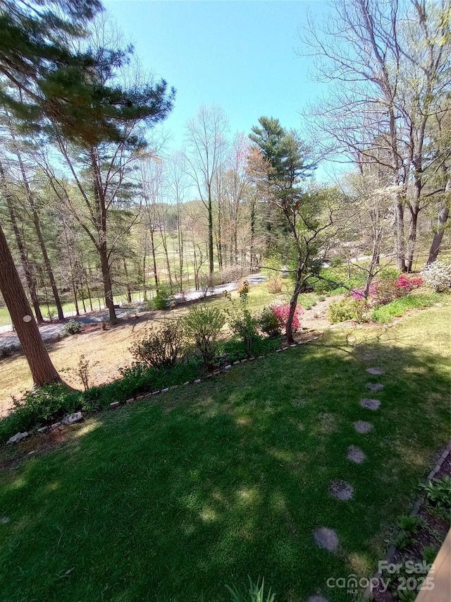 74 Melinda G Ln, Hendersonville, NC 28739 - photo 46