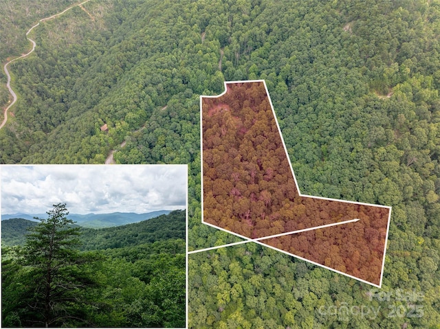 309 Doubleview Dr, Union Mills, NC 28167 - aerial view of property's location featuring property parcel outlined and a mountainous background