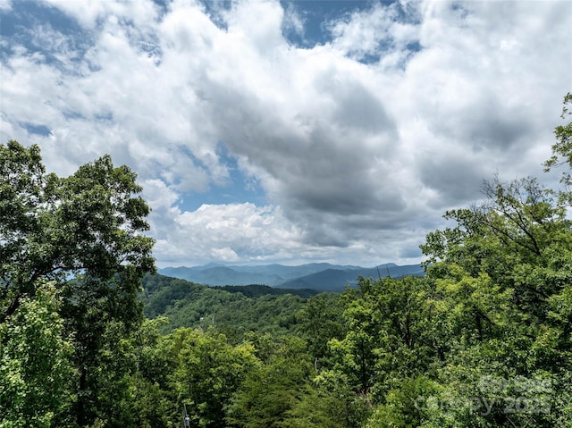309 Doubleview Dr, Union Mills, NC 28167 - mountain view with a heavily wooded area