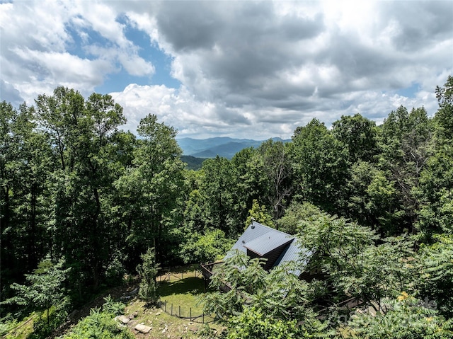 309 Doubleview Dr, Union Mills, NC 28167 - view of mountain background with a heavily wooded area