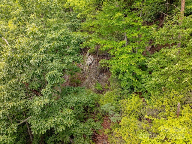 309 Doubleview Dr, Union Mills, NC 28167 - view of wooded area