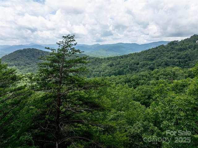 309 Doubleview Dr, Union Mills, NC 28167 - view of mountain background with a forest