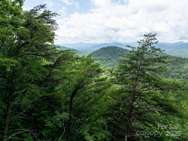 309 Doubleview Dr, Union Mills, NC 28167 - view of mountain backdrop with a heavily wooded area