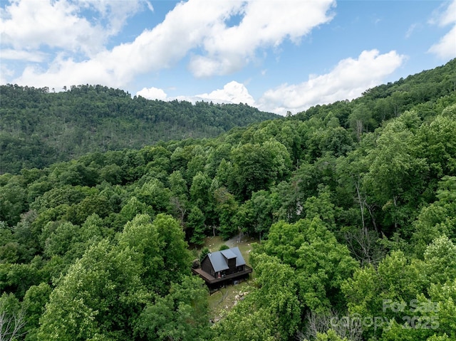 309 Doubleview Dr, Union Mills, NC 28167 - view of mountain backdrop with a forest