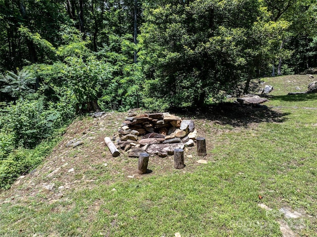 309 Doubleview Dr, Union Mills, NC 28167 - photo 28