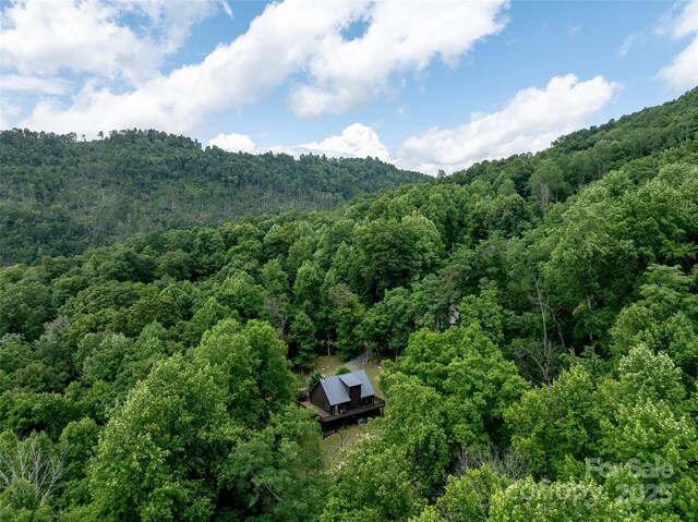 309 Doubleview Dr, Union Mills, NC 28167 - photo 36