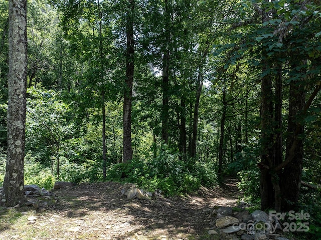 0 Doubleview Dr, Union Mills, NC 28167