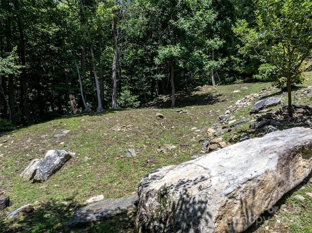 0 Doubleview Dr, Union Mills, NC 28167