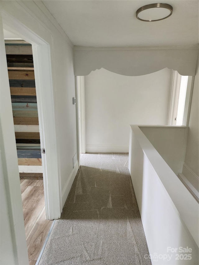 1434 N Hamilton St, High Point, NC 27262 - hall with baseboards, carpet, and wood finished floors