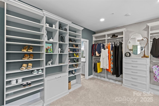 224 Wendover Heights Cir, Charlotte, NC 28211 - walk in closet with light carpet