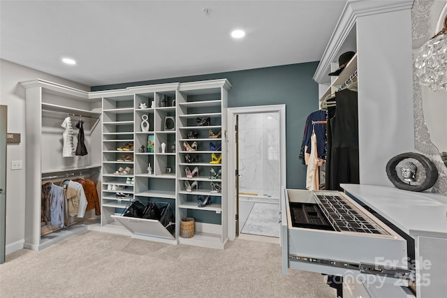 224 Wendover Heights Cir, Charlotte, NC 28211 - spacious closet with carpet floors
