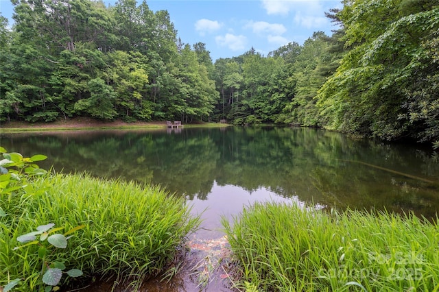 68 Huckleberry Ridge Ln, Zirconia, NC 28790 - water view featuring a heavily wooded area