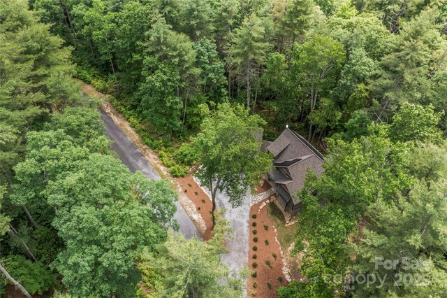 68 Huckleberry Ridge Ln, Zirconia, NC 28790 - photo 40