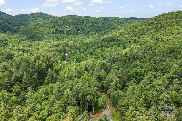 68 Huckleberry Ridge Ln, Zirconia, NC 28790 - photo 42