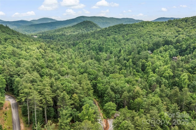 68 Huckleberry Ridge Ln, Zirconia, NC 28790 - photo 43
