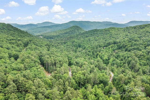 68 Huckleberry Ridge Ln, Zirconia, NC 28790 - photo 44