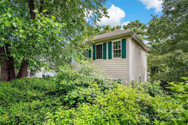 10 Village E Ct, Asheville, NC 28805 - photo 41
