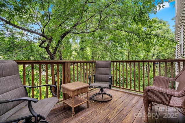 10 Village E Ct, Asheville, NC 28805 - photo 10