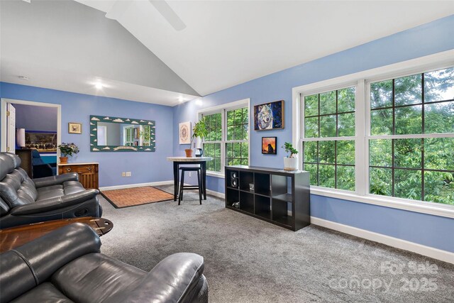 10 Village E Ct, Asheville, NC 28805 - photo 19