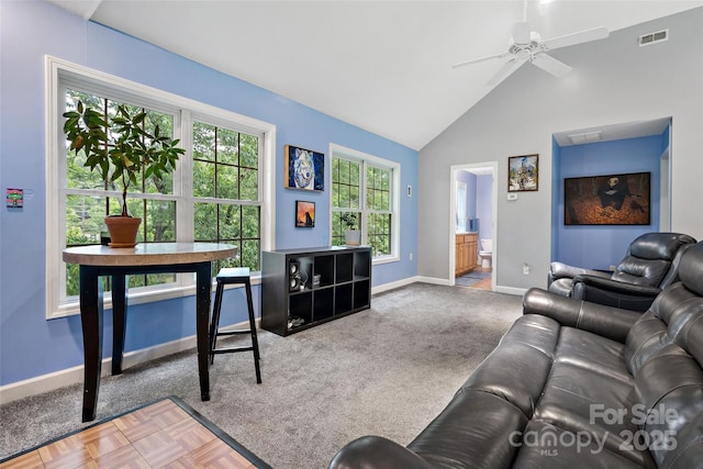 10 Village E Ct, Asheville, NC 28805 - photo 20