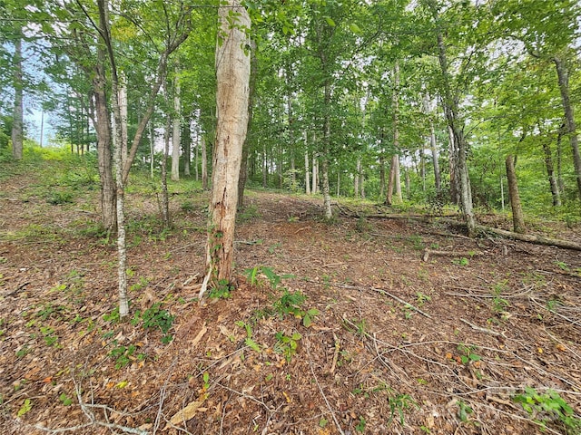 346 Settings Blvd Unit 89, Valdese, NC 28690