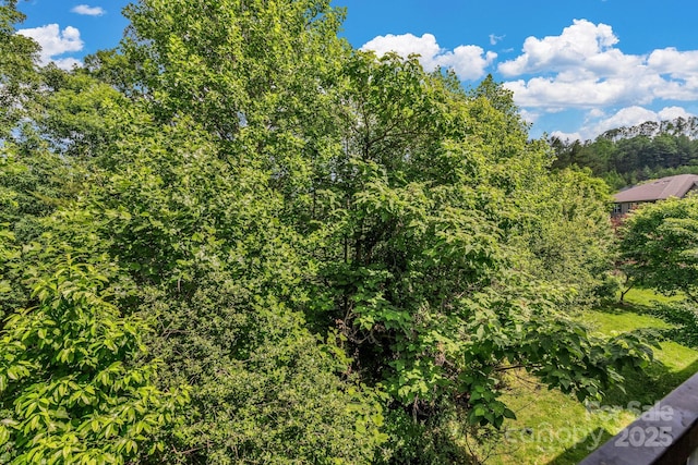 176 Brickton Village Cir Unit 302, Fletcher, NC 28732 - view of tree filled area