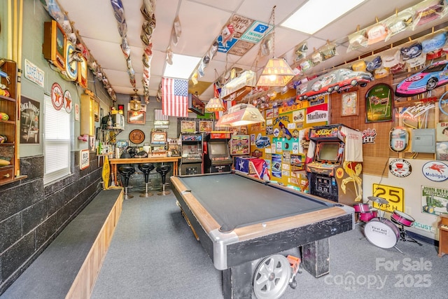 211 Drive Inn Rd, Locust, NC 28097 - rec room featuring a workshop area and pool table