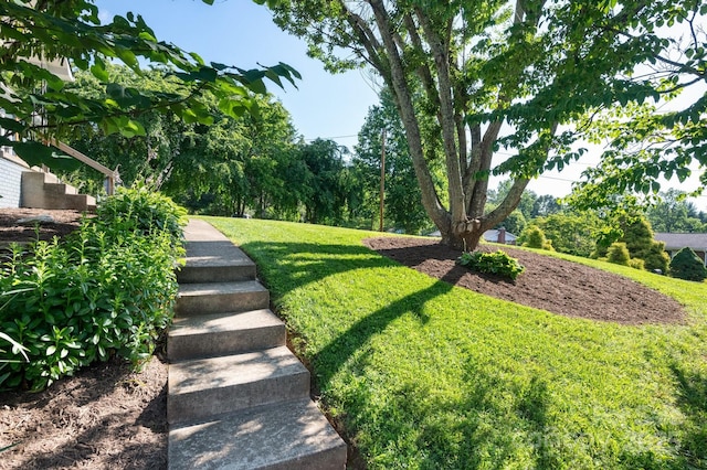 28 Spaulding Dr, Candler, NC 28715 - photo 3