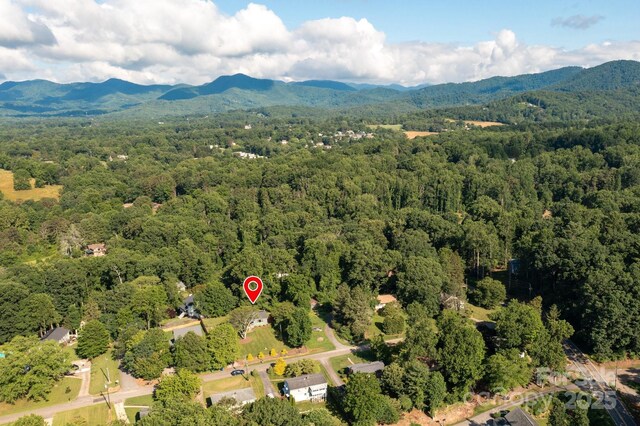 28 Spaulding Dr, Candler, NC 28715 - photo 31