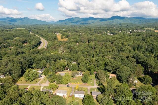 28 Spaulding Dr, Candler, NC 28715 - photo 34