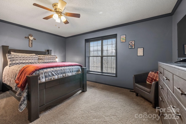 334 Foxden Rd, Mars Hill, NC 28754 - photo 14