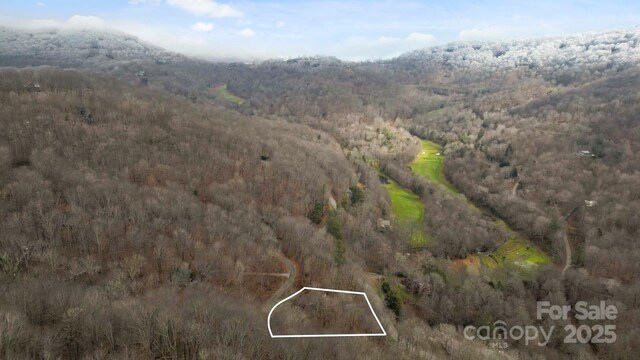 334 Foxden Rd, Mars Hill, NC 28754 - photo 39