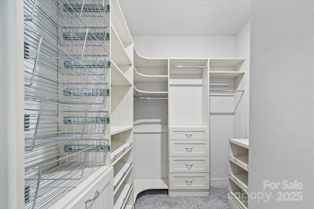 9009 Myrna Dr, Gastonia, NC 28056 - walk in closet featuring carpet
