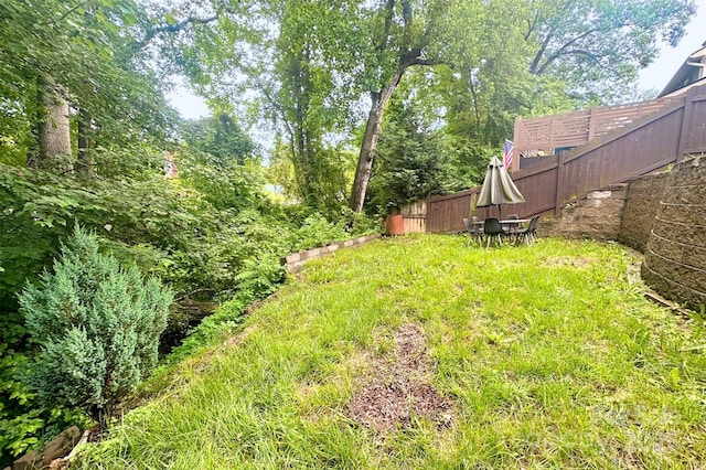 31 English Ivy Rd, Asheville, NC 28806 - view of yard