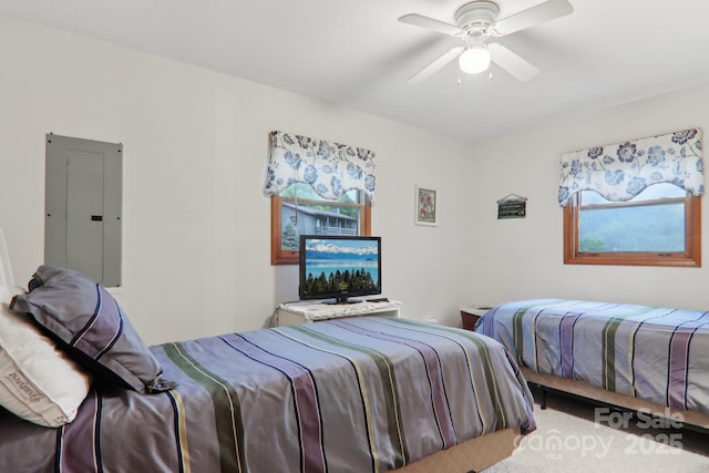 418 Stoney Ridge Loop, Maggie Valley, NC 28751 - carpeted bedroom featuring electric panel and a ceiling fan