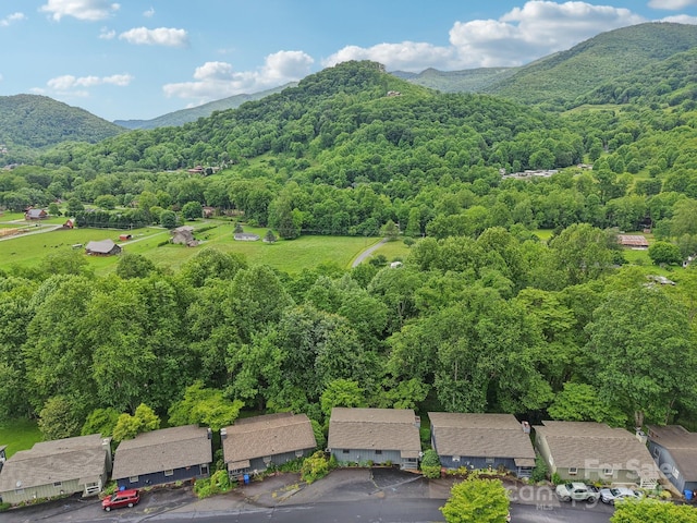 418 Stoney Ridge Loop, Maggie Valley, NC 28751 - view of mountain background with a forest