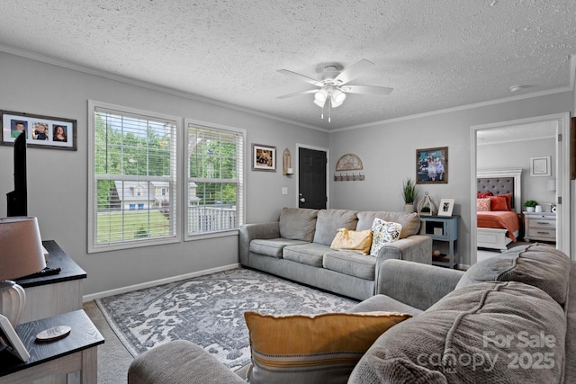 2843 Hopewell Church Rd, Sherrills Ford, NC 28673 - living area with a ceiling fan, carpet flooring, ornamental molding, a textured ceiling, and baseboards