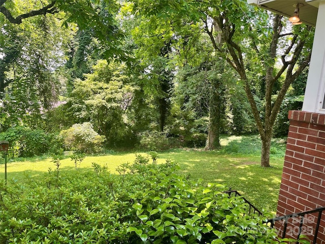 117 Silvercreek Rd, Morganton, NC 28655 - view of green lawn