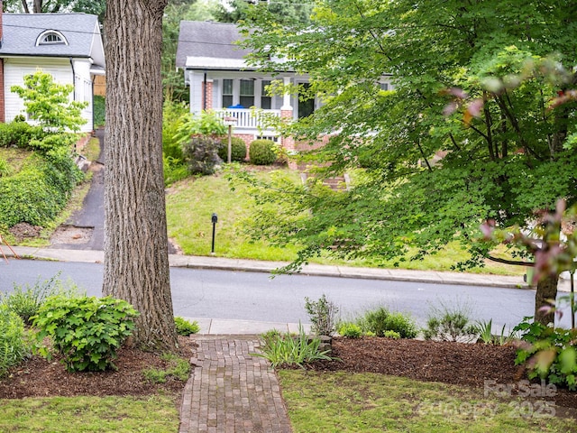 24 Warwick Rd, Asheville, NC 28803 - view of yard
