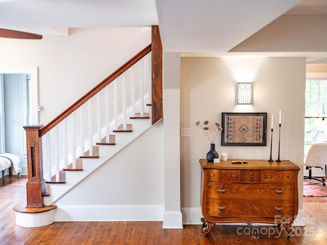 24 Warwick Rd, Asheville, NC 28803 - stairs with wood finished floors and baseboards