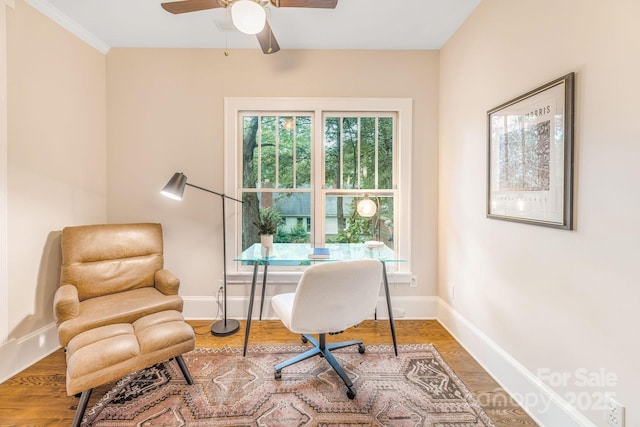 24 Warwick Rd, Asheville, NC 28803 - office featuring ceiling fan, baseboards, and wood finished floors