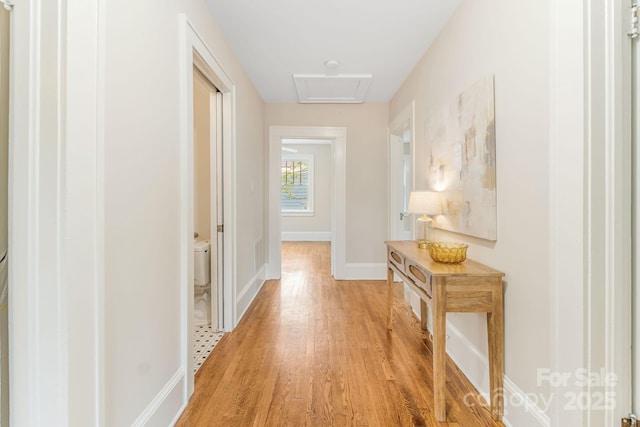 24 Warwick Rd, Asheville, NC 28803 - hall featuring light wood finished floors and baseboards