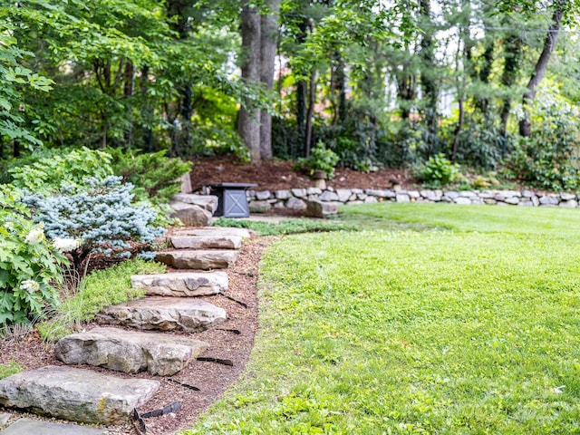 24 Warwick Rd, Asheville, NC 28803 - view of green lawn